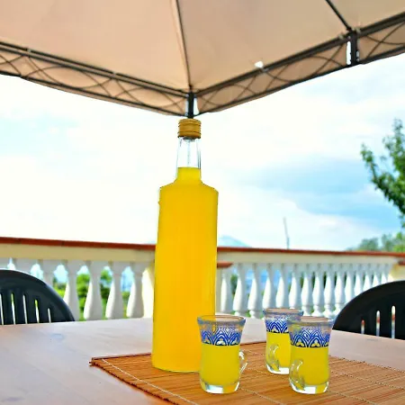 Living Mediterraneo *